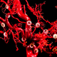 Illustration for article titled 7 Mind-Blowing Artifacts That Reveal the Strange Beauty of Brains